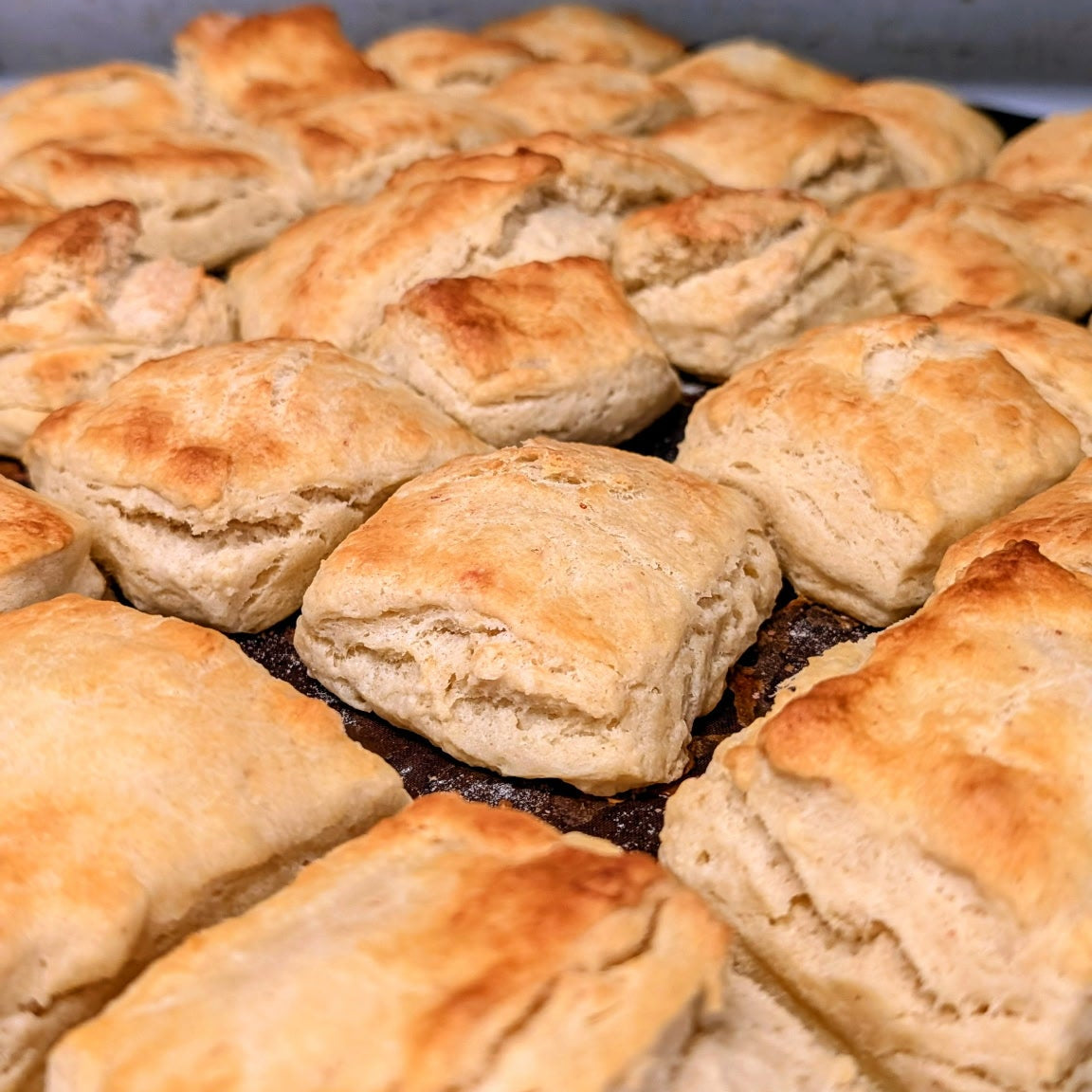 Sourdough Buttermilk Biscuits 6pks