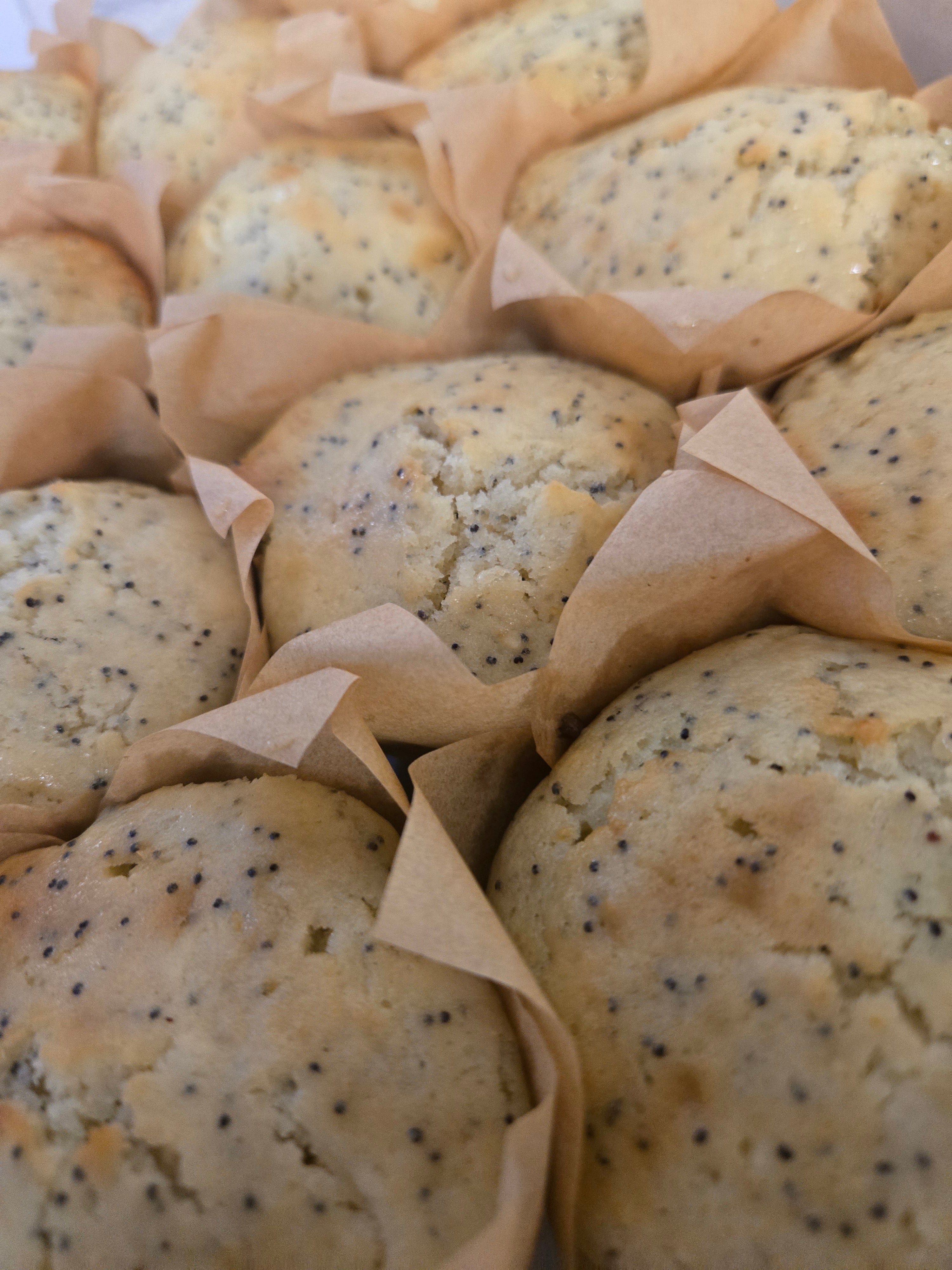 Lemon Poppyseed Muffins 2pk