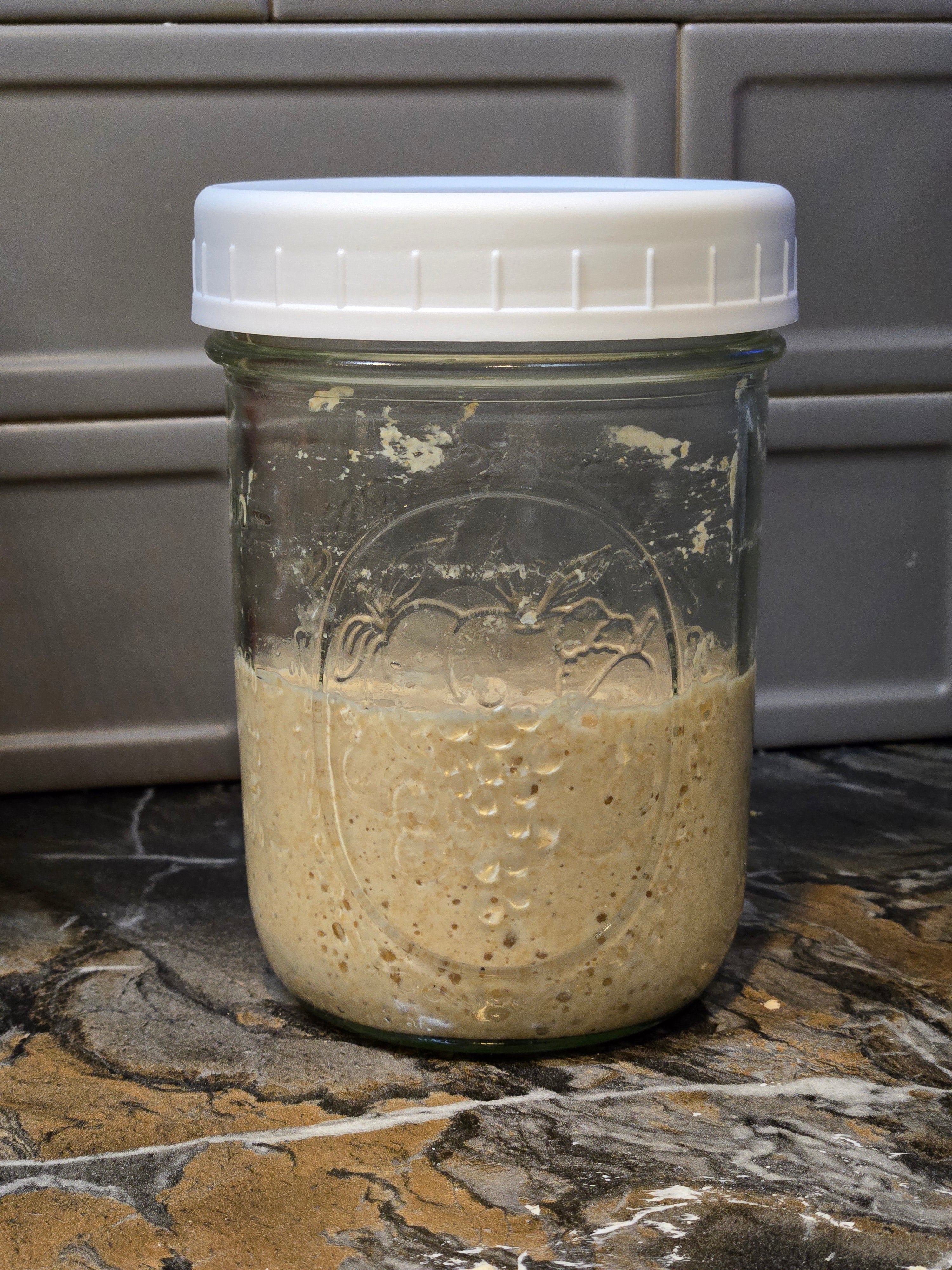 "Stewart"- Sourdough Starter