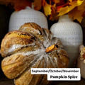 Pumpkin Artisan Lg