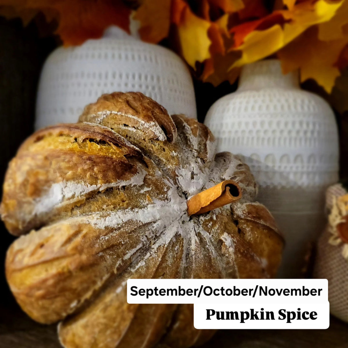 Pumpkin Artisan Lg
